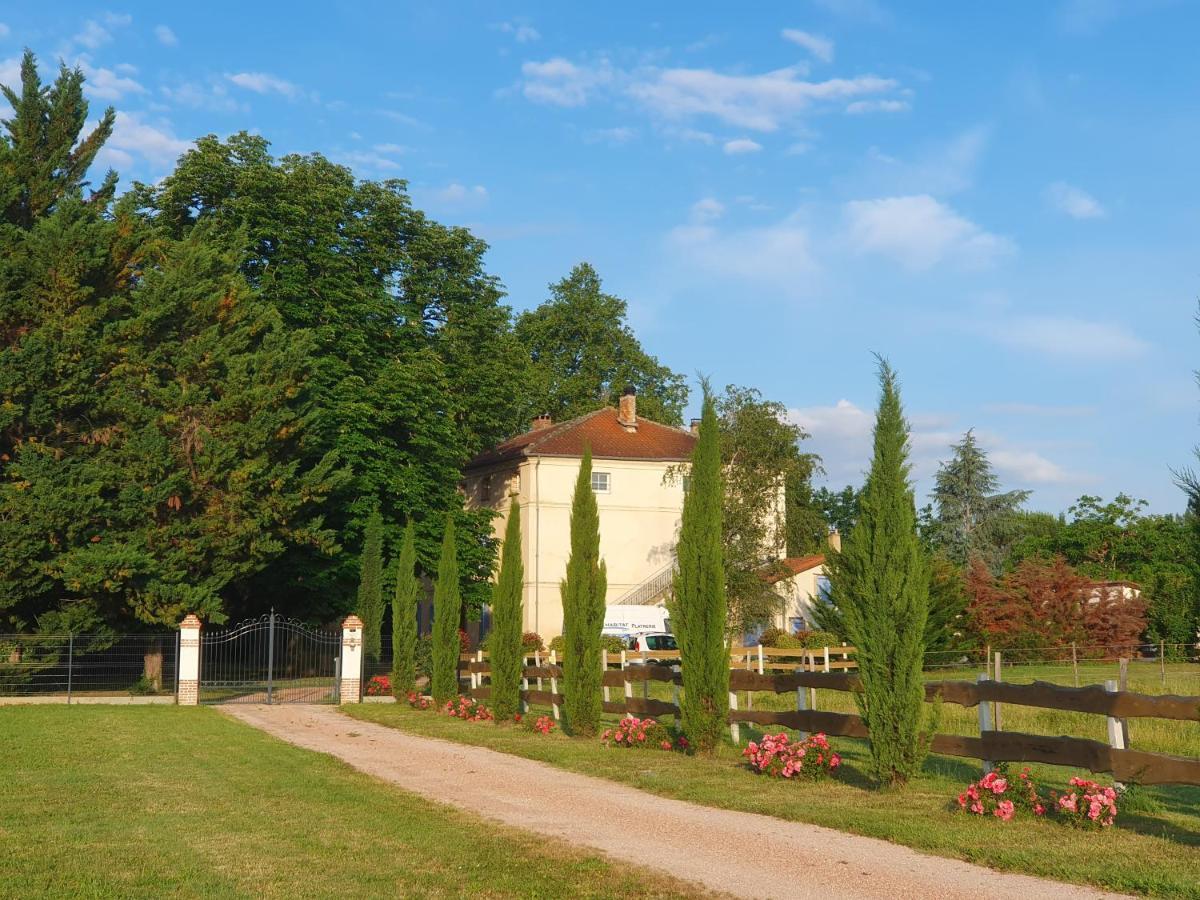 Domaine Christanna Bed and Breakfast Lisle-sur-Tarn Buitenkant foto