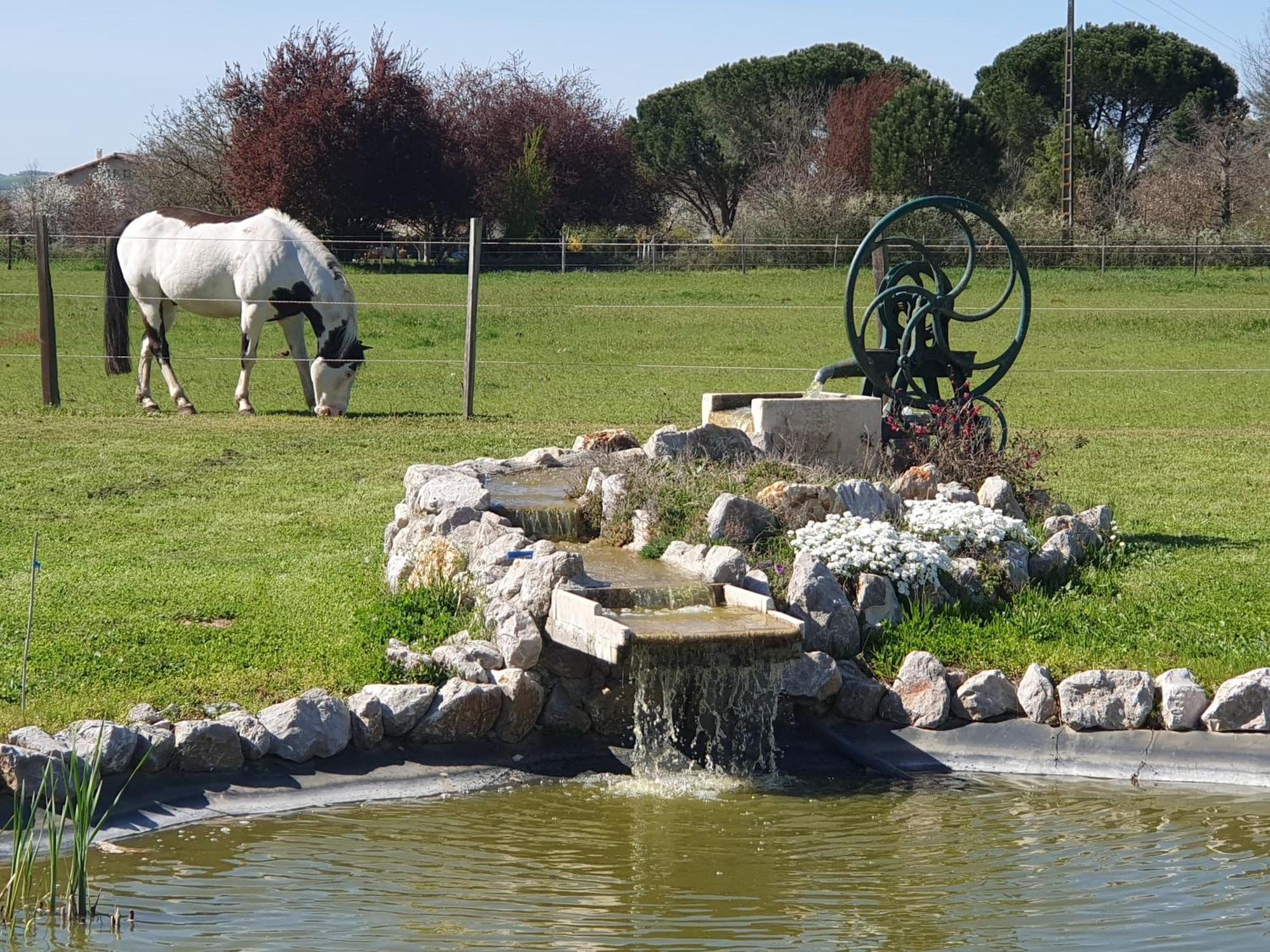 Domaine Christanna Bed and Breakfast Lisle-sur-Tarn Buitenkant foto