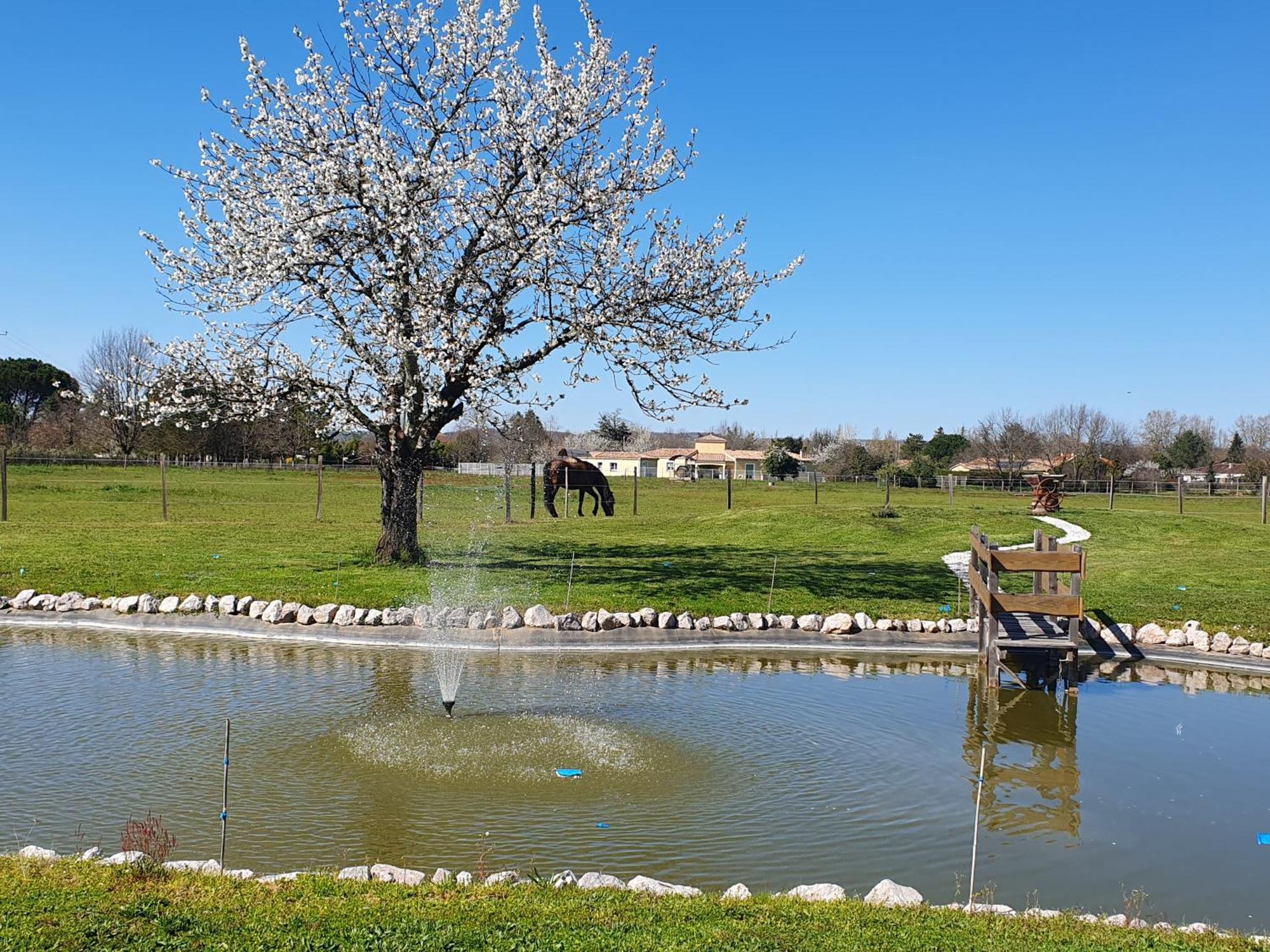 Domaine Christanna Bed and Breakfast Lisle-sur-Tarn Buitenkant foto