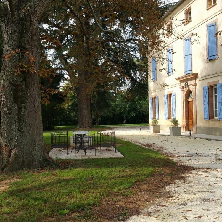 Domaine Christanna Bed and Breakfast Lisle-sur-Tarn Buitenkant foto